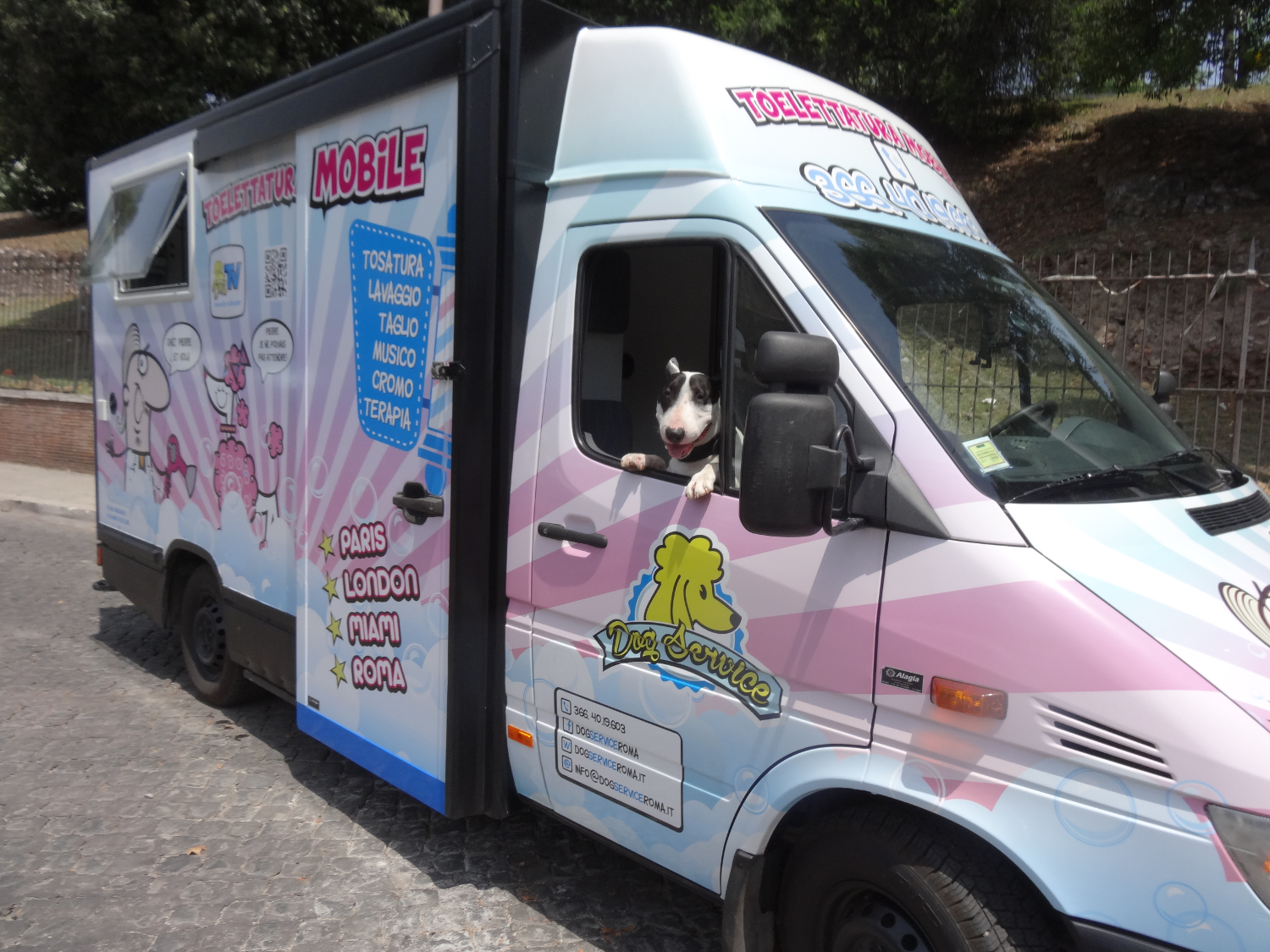 Dog Service Roma - mobile